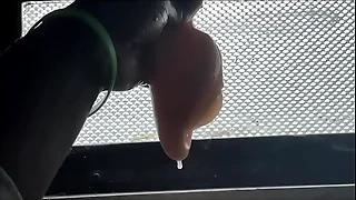 Mbeuguel attainment Sarahh with Venus doll XXX